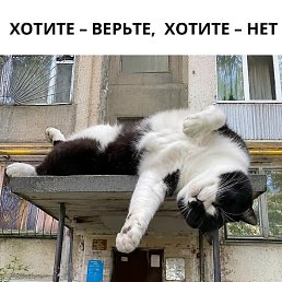 Anastasiiya, ������������, 42 ����