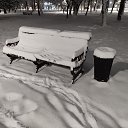 ���� ������, ������������, 55 ��� - ��������� 5 ������ 2026 � ������ ������ ��������