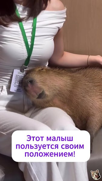 ����� ���� ������ ��������