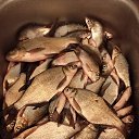 ���� ���������, ������, 69 ��� - ��������� 12 ������ 2025 � ������ ���� ����������