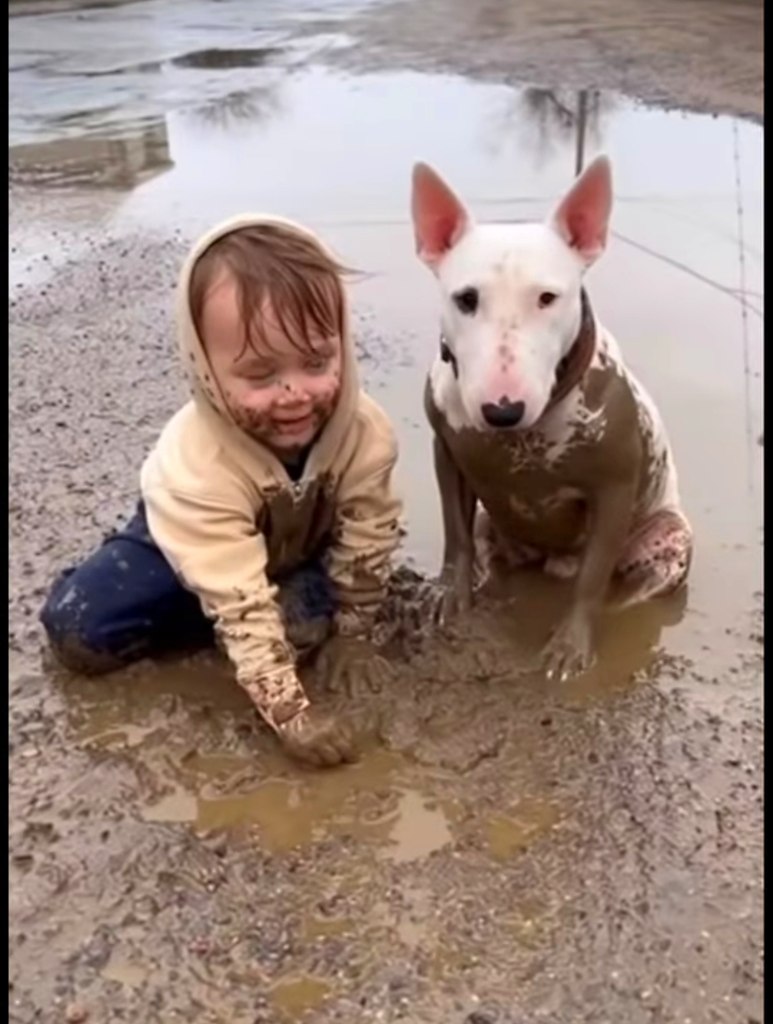 Мы тут...на прогулку... - 2