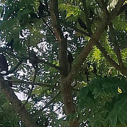 �����, �����, 35 ���