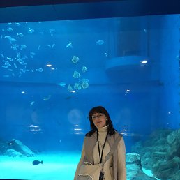 �����, �����-���������