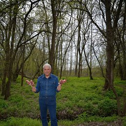 ���������, 60 ���, ������-��-����