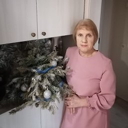 ������ "���� 209", ���������