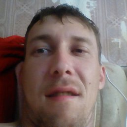 Corola, ������������, 44 ����