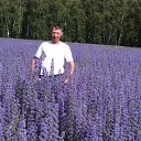 ���� �����, ������������, 52 ���� - ��������� 12 �������� 2024