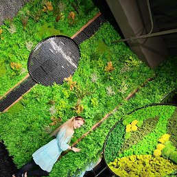 ������, ������������, 36 ���