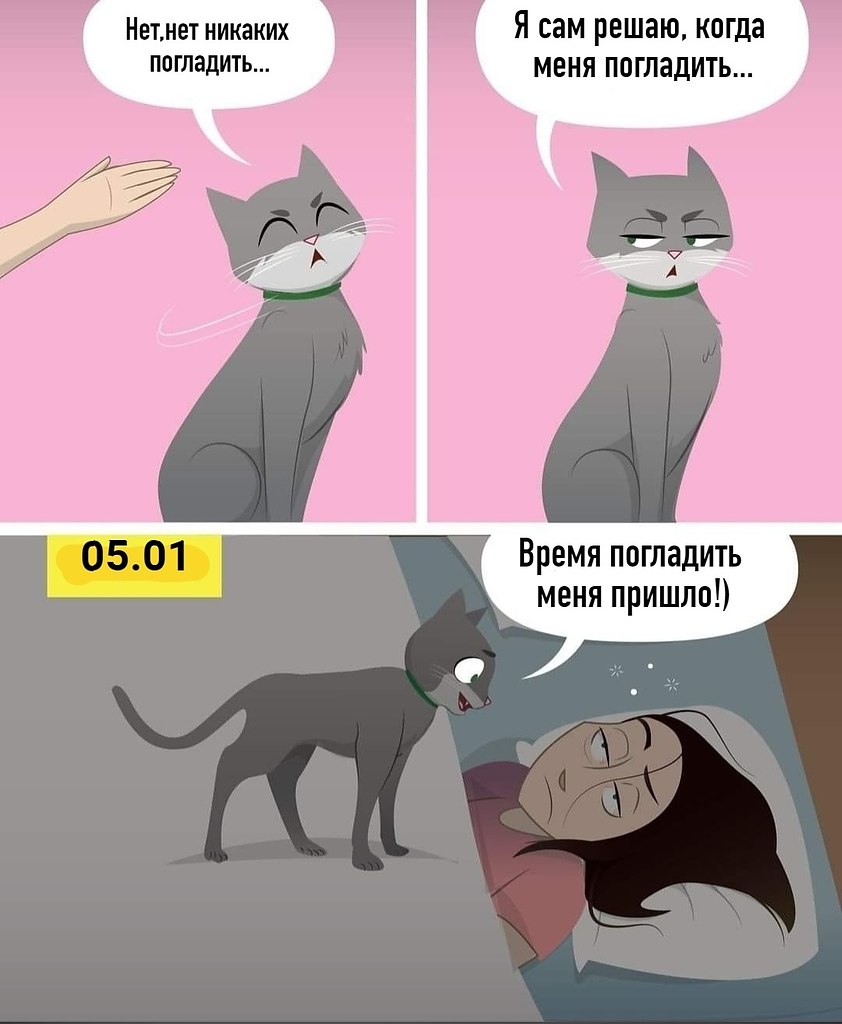��� ���� � ����� �� �� - 10 ���� 2026 � 05:25