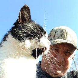 ����������, ���������, 61 ���