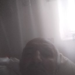 , 37, 