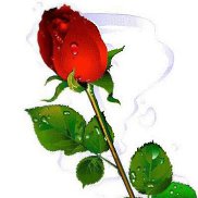 �������, 57 ���, �������