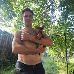 , 54, 