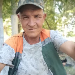, 47, 