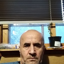 , 52, -