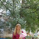 ���� �����, ������� - ��������� 25 �������� 2024 � ������ ���� ����������