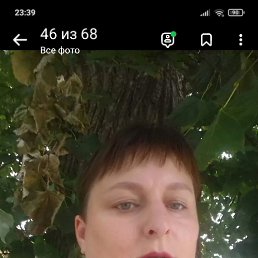 , 41, -