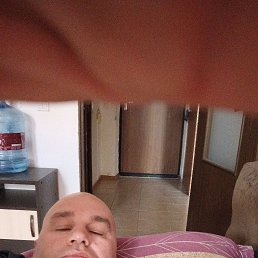 ������, 46 ���, ����