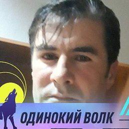 �����, �������, 38 ���