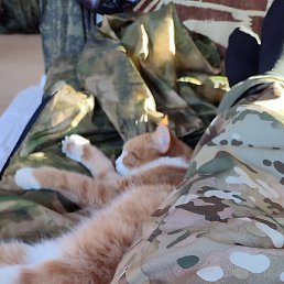 �����, ������, 42 ����