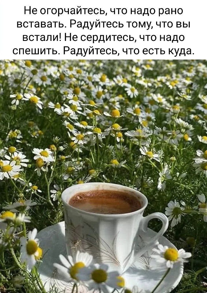 �������� ������� - 5 ���� 2026 � 07:28