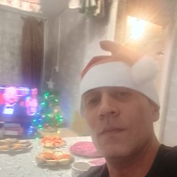 ���� ����, ����������, 40 ��� - ��������� 1 ������ 2026