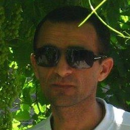 �����, ���������