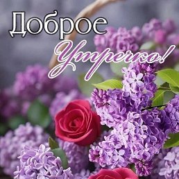 �������, ��������, 54 ����