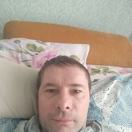 ���� ����, �����, 48 ��� - ��������� 11 ������ 2024