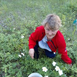 �������, ���������, 51 ���