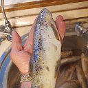 ���� ����, �����-��������� - ��������� 18 ������ 2025 � ������ ���� ����������