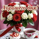 ���� ������, ������ - ��������� 18 ��� 2026 � ������ ������ ��������