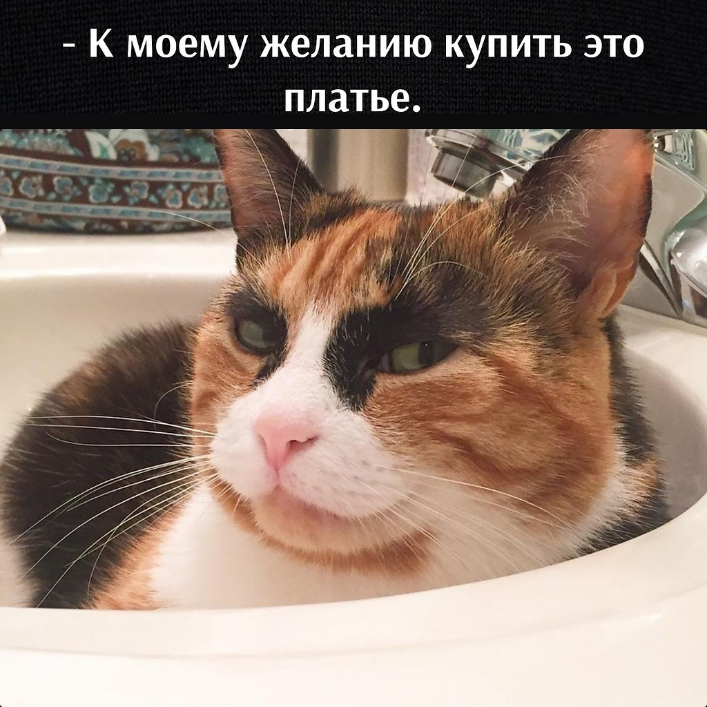       - 9  2023  12:44 - 4