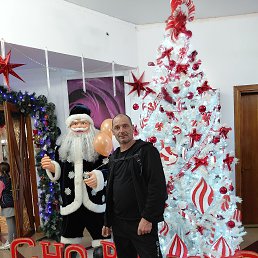 ���� ���� �, ����, 56 ��� - ��������� 7 ������ 2026