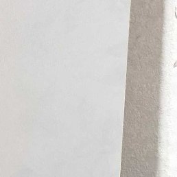 �����, ������, 49 ���