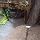 ���� ������, ����, 86 ��� - ��������� 17 ������� 2025 � ������ ������