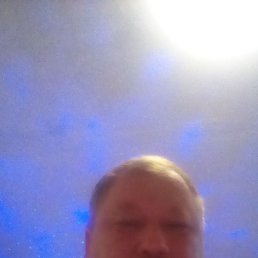 ������, 48 ���, ���������