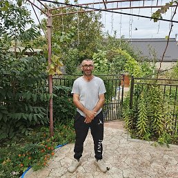 �����, ��������, 46 ���