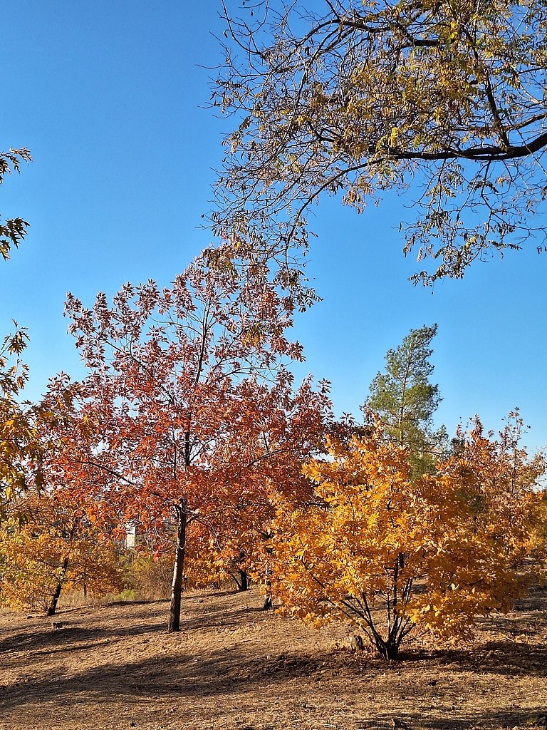 o��o�pa� - 4