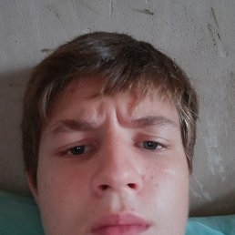 , 24 , 