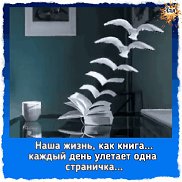 �������, 67 ���, ���������