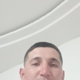 , 29, 