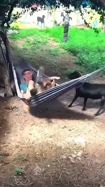 ����� ���������� � ��������� ����� - 2