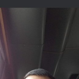 , 37, 