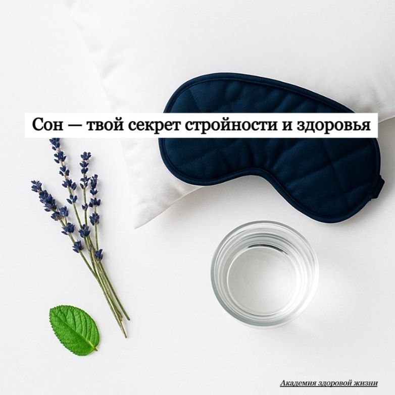 Диета идеальна, тренировки идут… а вес стоит? Проверь не тарелку, а подушку. Сон — это не просто ...