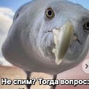  ,  -  13  2025    