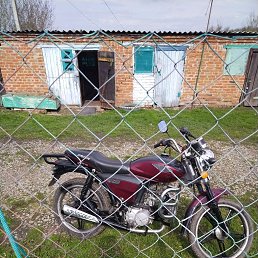 ���� ����, �����-���������, 51 ��� - ��������� 10 ������� 2024