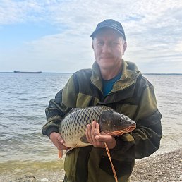  , 55, 