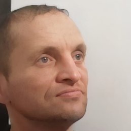 �������, ���������, 49 ���