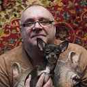 ���� �������, ����� - ��������� 29 ������� 2024 � ������ ���� ����������